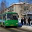 Жители Березовского вынуждены добираться до Екатеринбурга через тернии из-за бездействия властей