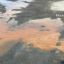 Клязьминское водохранилище под угрозой: результаты анализа воды пугают экологов и жителей района