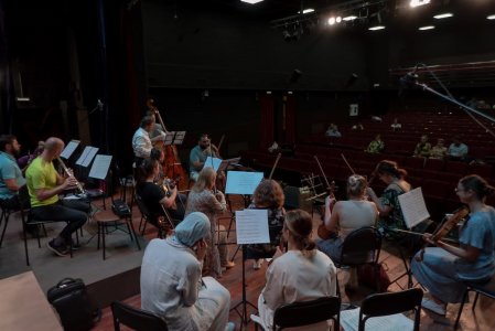 Преподаватели ЦШИ РИ  выступят в концерте Камерного оркестра